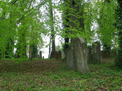 jüdischer Friedhof